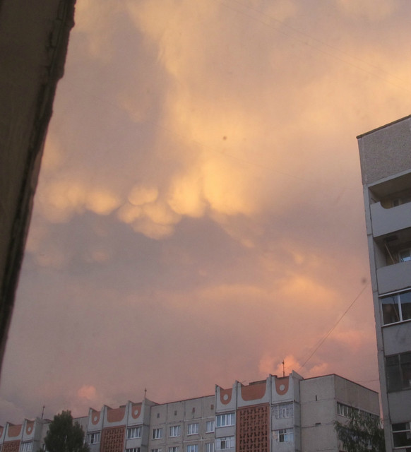 IMG-2641-5