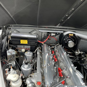 IMG 7556