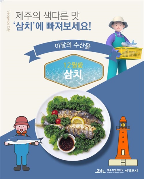 서귀포시, 12월 이달의 수산물로 ‘삼치’ 선정