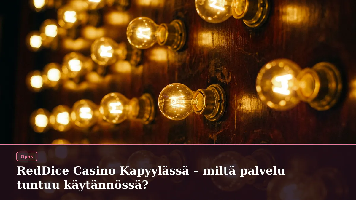 RedDice Casino Kapyylässä – miltä palvelu tuntuu käytännössä?
