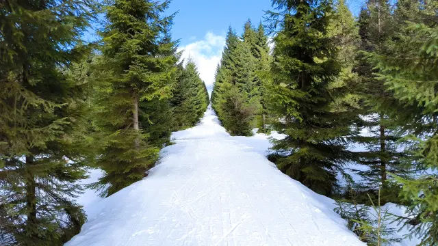 Jizerky.webp