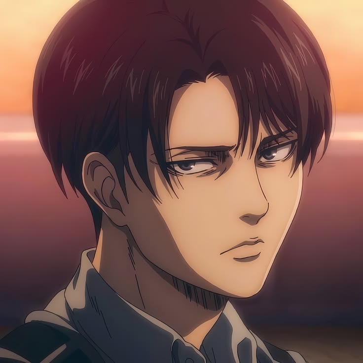 Levi