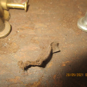 IMG-4695