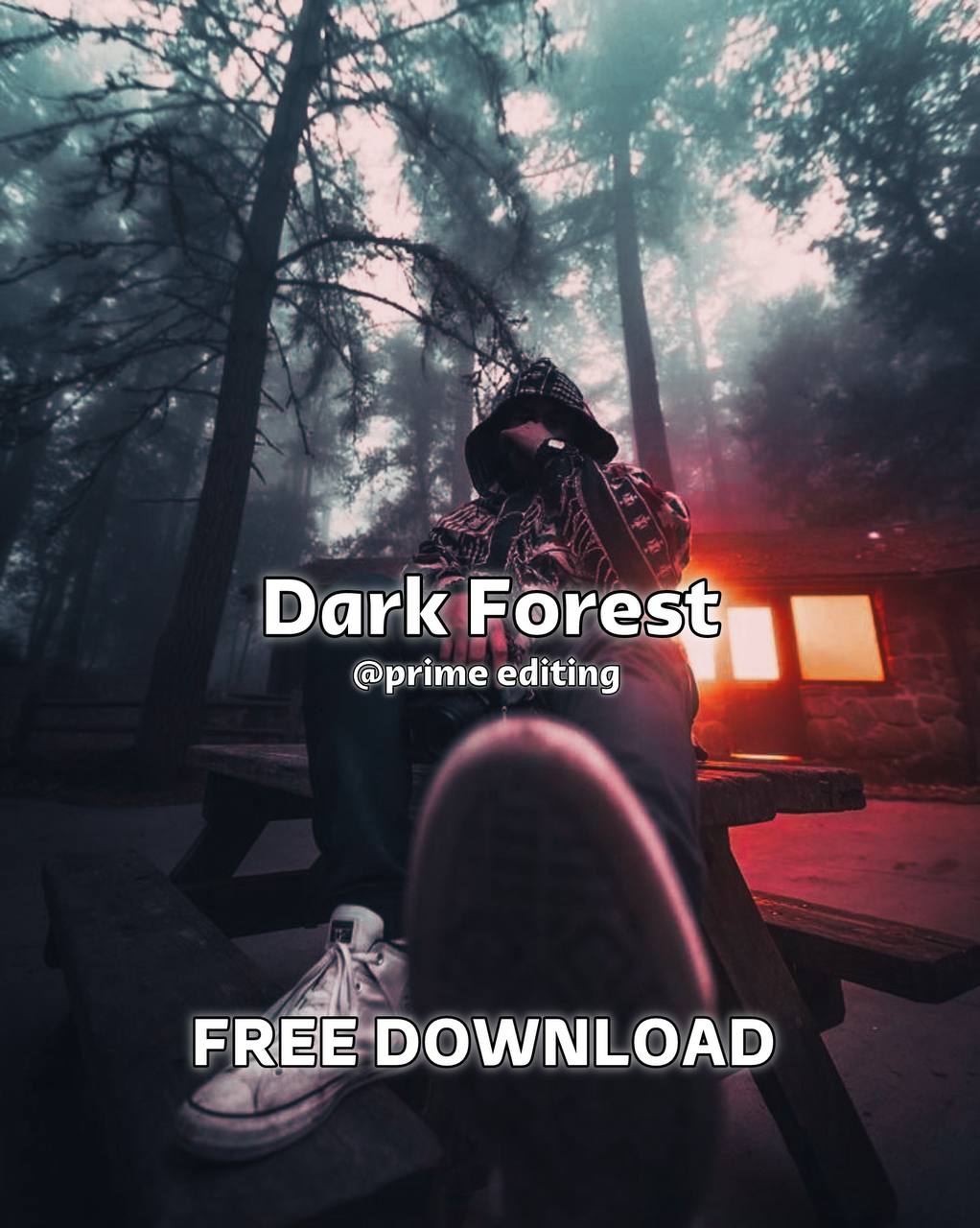 Dark Forest