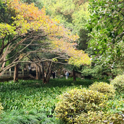 石屋洞2