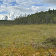 IMG 4748