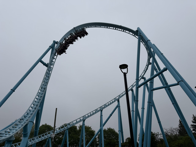 IMG 7113.jpg