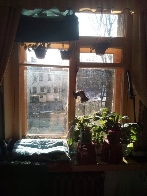 IMG-20220401-090025.jpg