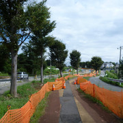 P1350314