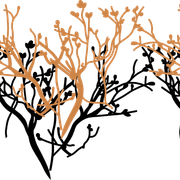da13a294c0ac4d04647dce6446e33a54
