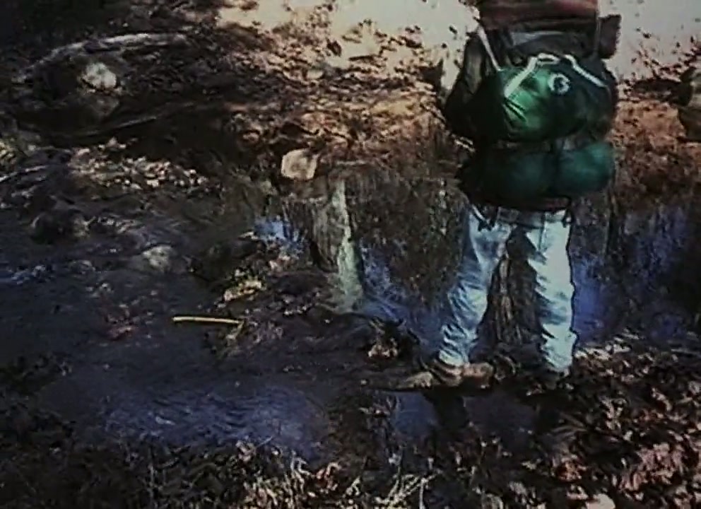 The Blair Witch Project Screenshot