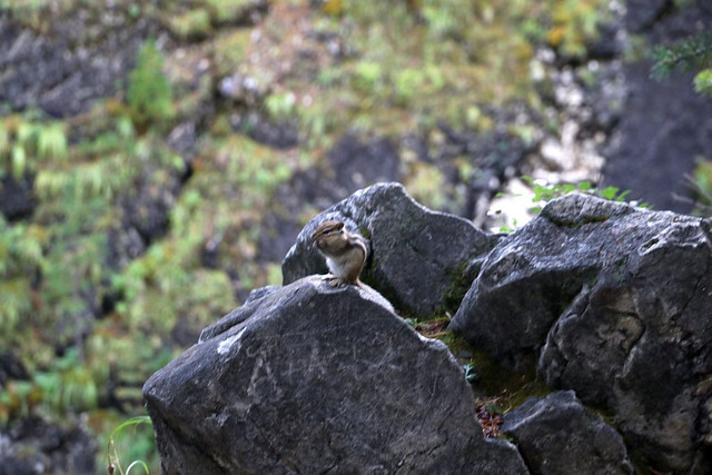 IMG 0302.jpg