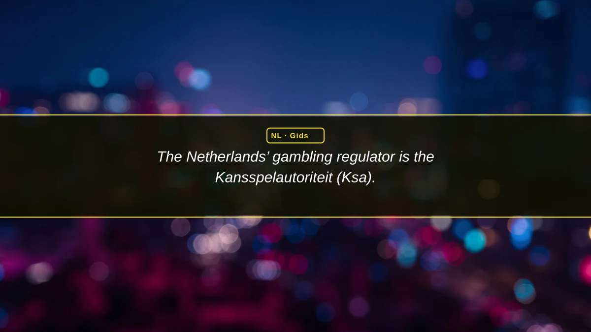 Online bonus casino: wat Nederlandse spelers moeten weten