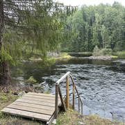 IMG 4401