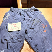 IMG 4601
