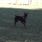 f0-Sw-Ws-W.gif