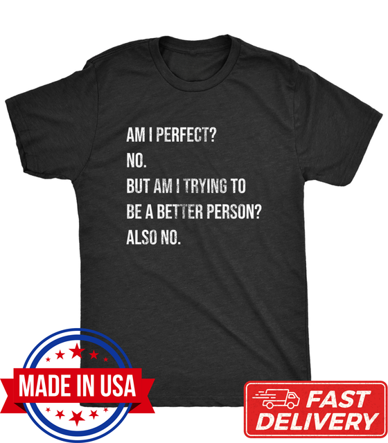 Mens Am I Perfect No T Shirt Funny Sarcastic Self Improvement Joke Novelty Tee