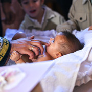 Pic 190