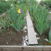 IMG-2893.jpg