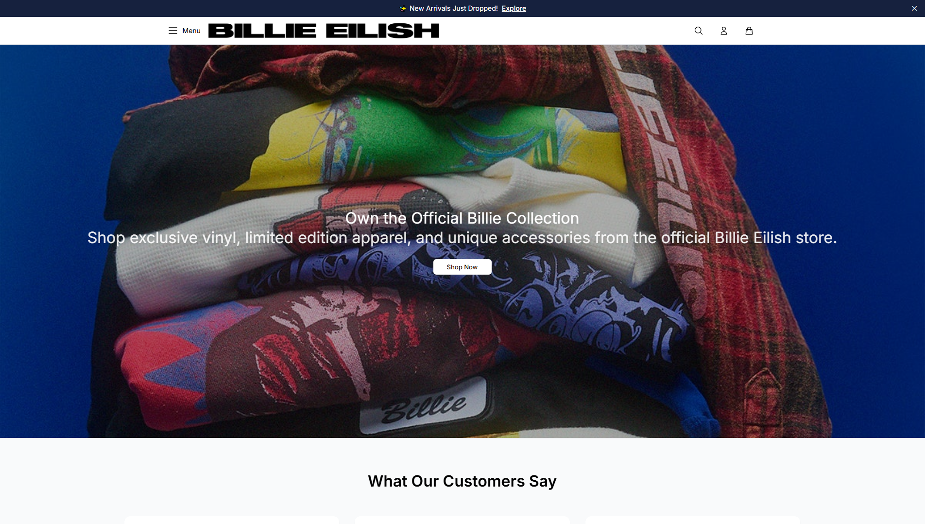 Primary capture · billieeilishdesign.shop