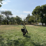IMG 7958
