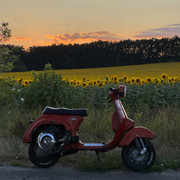IMG 2375