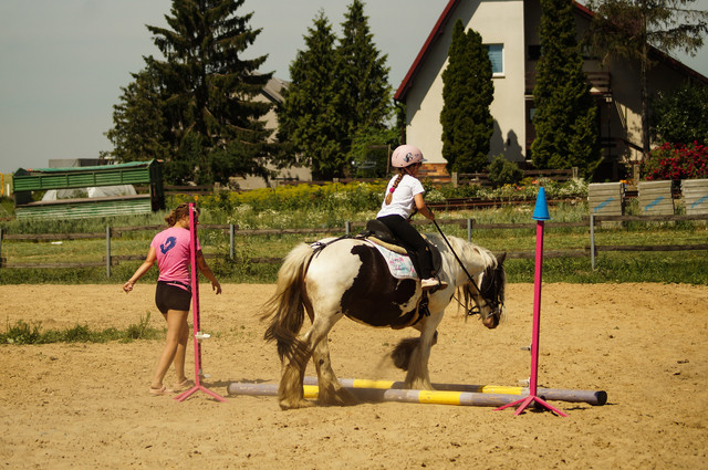 DSC03914.jpg