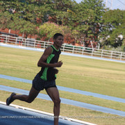 IMG 0130