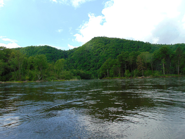 DSC04897.jpg