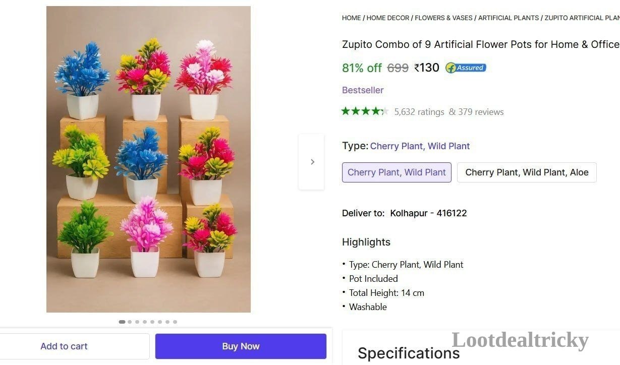 Zupito Combo Of – Just ₹130 | Loot Lo Zupito Combo Of – Just ₹130 | Loot Lo