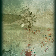 33 DUPATTA