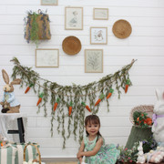 IMG-6529