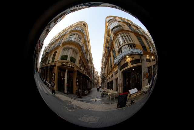 DSCF8938.jpg