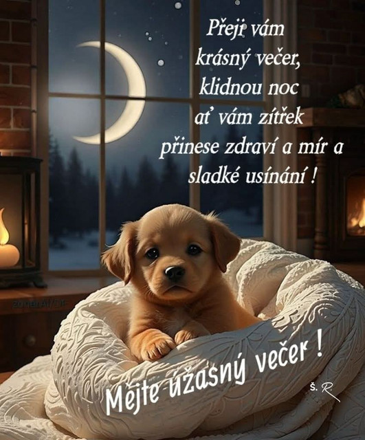 0dafd23d0809ddcfaf4dea0080cfc757