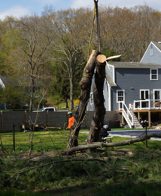 stump grinding oak trees Double Oak TX