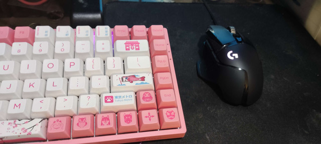 setup-2