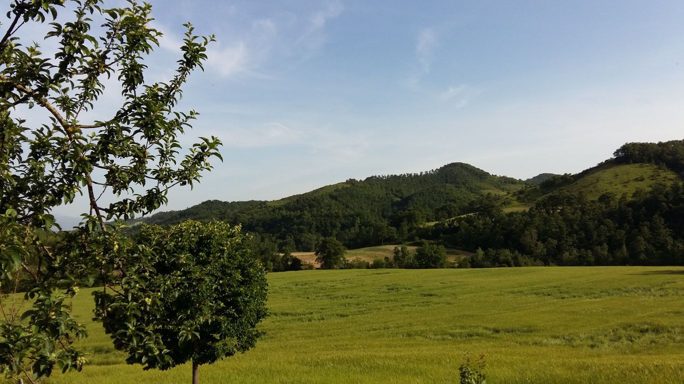 Paesaggio 2