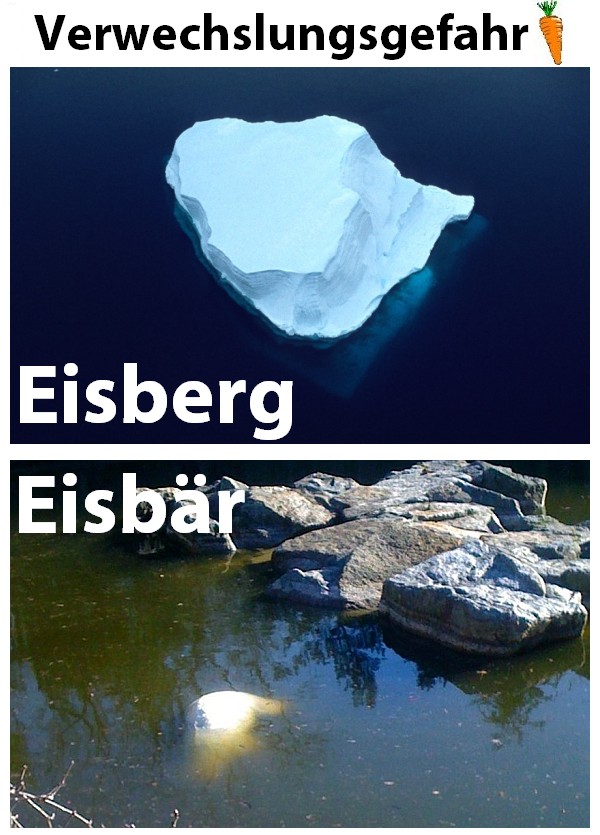 Knut.jpg