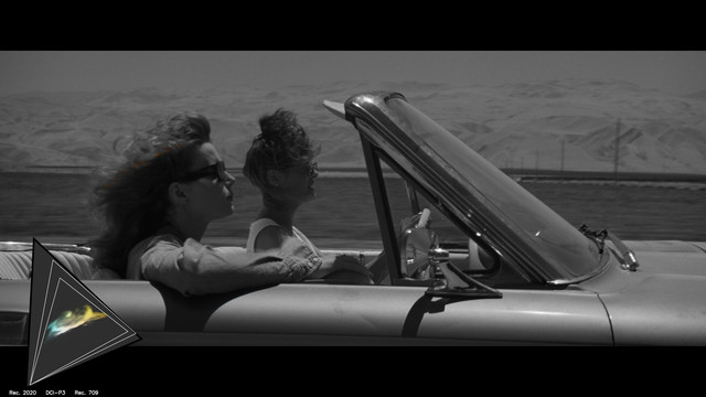 gamut-THELMA0077
