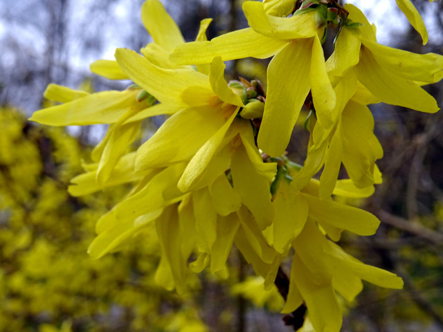 DSC00974.jpg