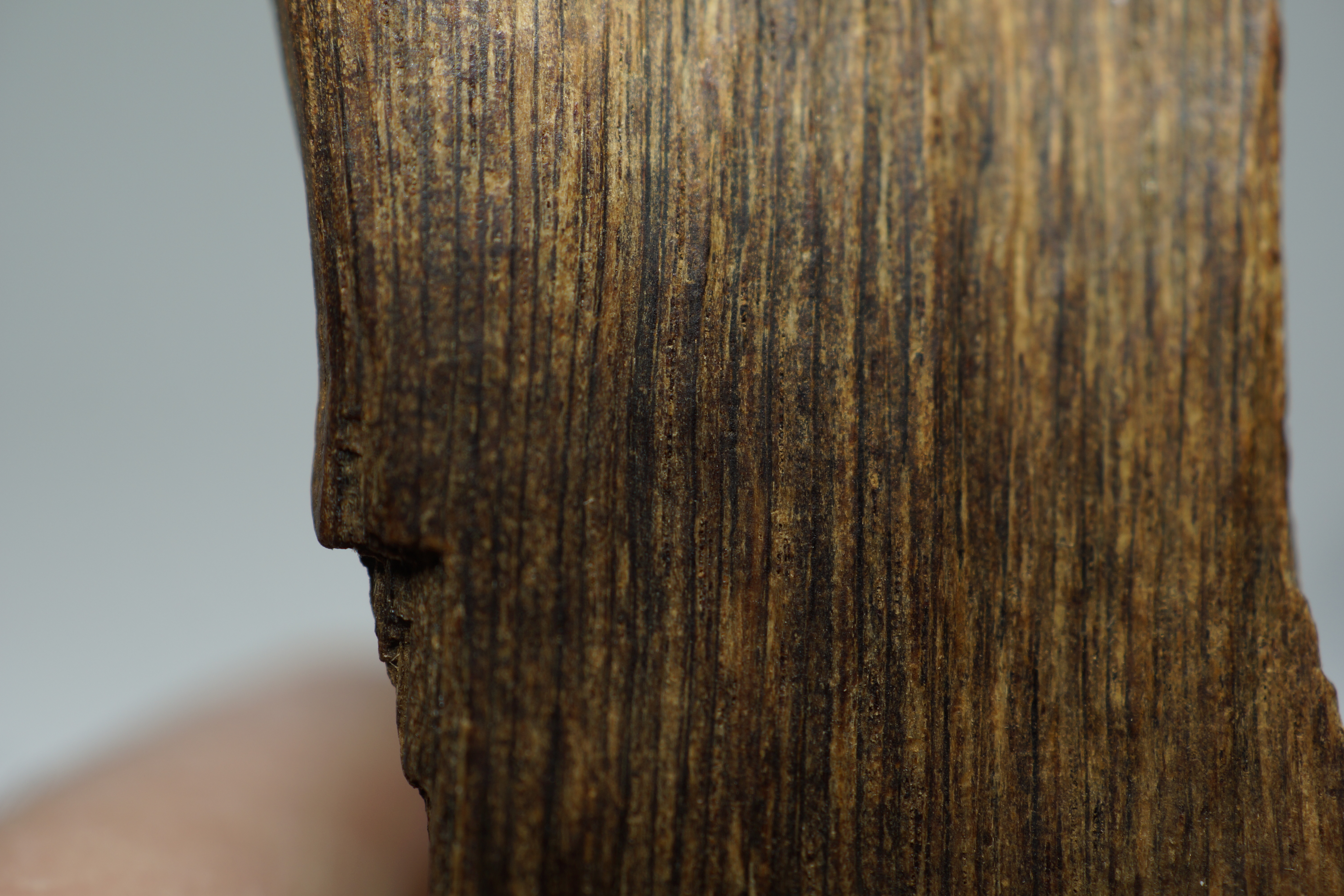 [Ouddict.com] Oud Photos
