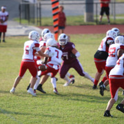 IMG-2033