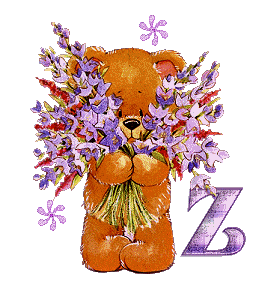 z.gif