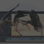 Pinnacle-Studio-Banner-2