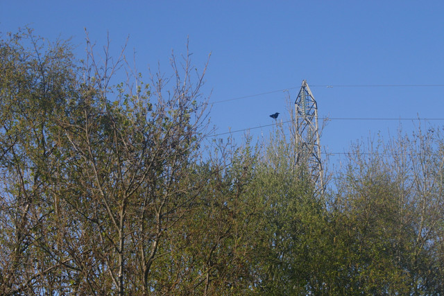 IMG-0338