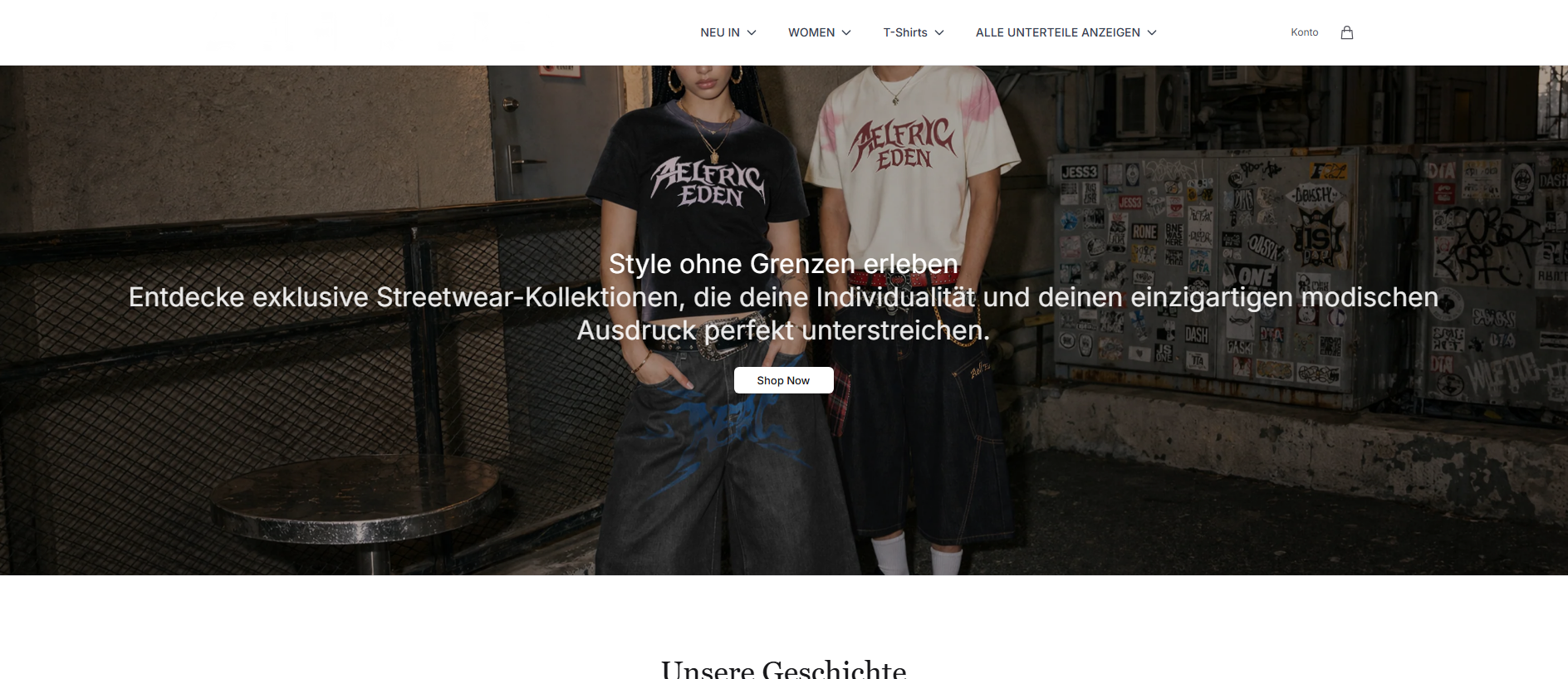 Stored capture of aelfricedenhq.shop