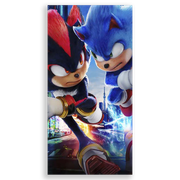 31001567-Sonic