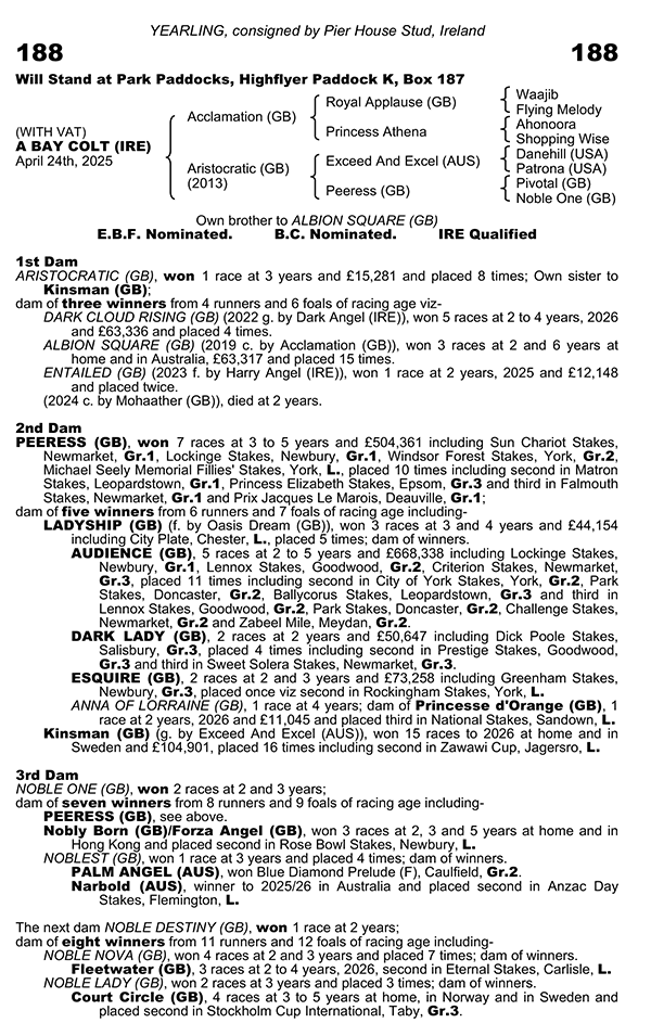 Acclamation x Aristocratic Bay Colt yearling