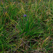 DSC05111