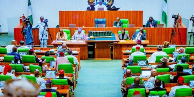 Illustration - Nigeria : la Chambre adopte le projet de police d'État, 289 voix pour, 4 contre, le Sénat tranche en juillet